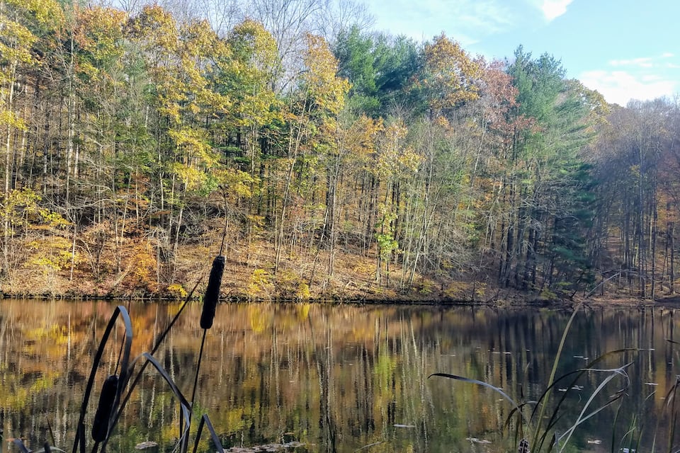 A calm lake surrounded by autumn-colored trees.