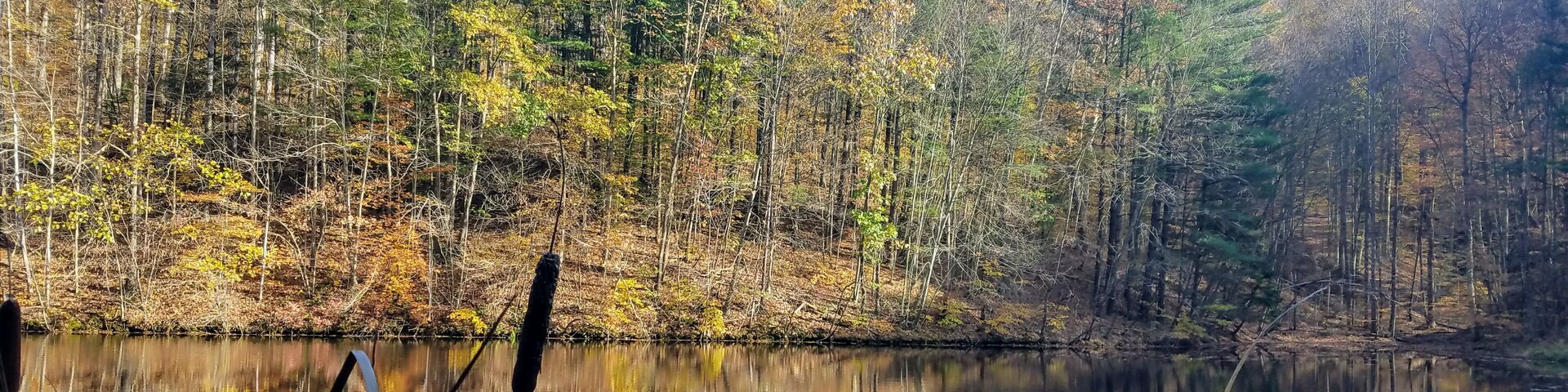 This is a nice little place to hike. Few visitors and away from major traffic.