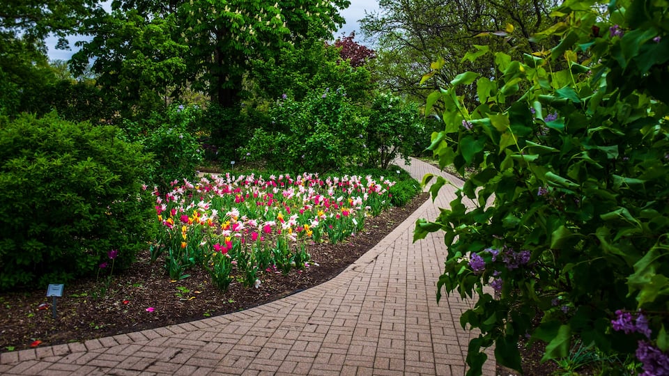 A landscaped garden with a brick pathway, various flowering plants, and trees.