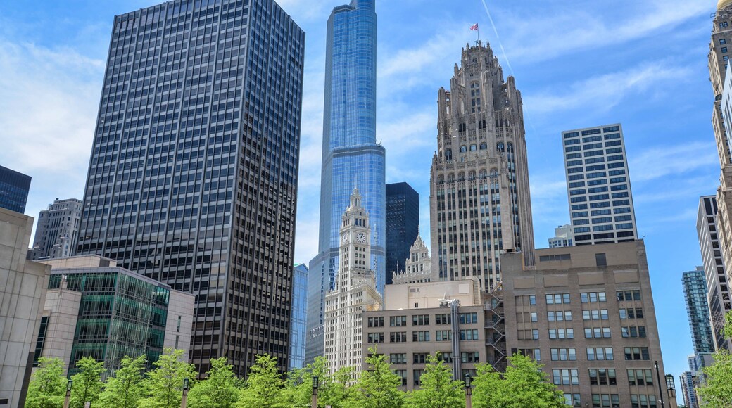 Downtown Chicago