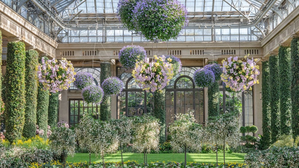 Ein Gewächshaus mit hängenden Blumenkörben und mit Efeu bewachsenen Wänden.