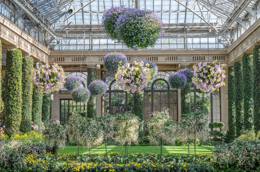 A greenhouse with hanging flower baskets and ivy-covered walls.