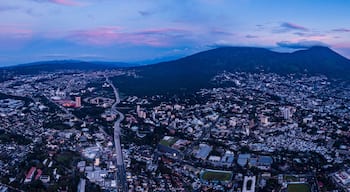 โซนาโรซา