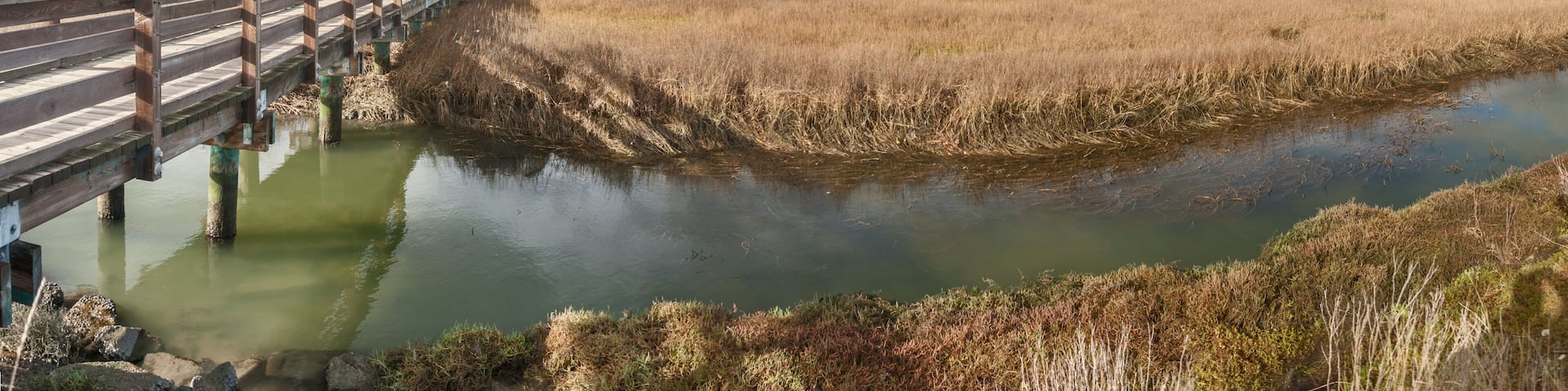 a view of Arrowhead Marsh at San Leandro Bay, Oakland, California.; Shutterstock ID 277775930