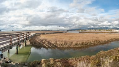 a view of Arrowhead Marsh at San Leandro Bay, Oakland, California.; Shutterstock ID 277775930