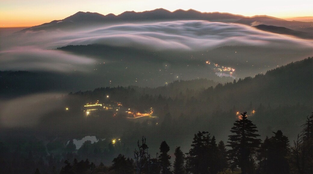 Catch the fog rolling in over the city lights at Strawberry Peak in Lake Arrowhead, CA. It’s a little tricky to get to this viewpoint. Hint: climb under the fence right next to the radio tower. #venture #explore #nature #california