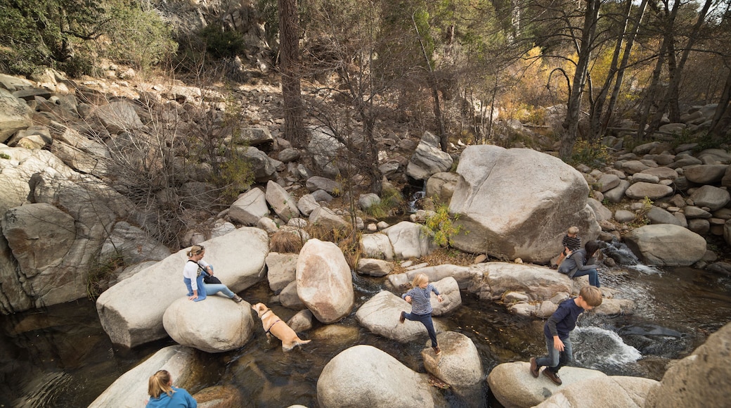 Family playing on rocks in river, Lake Arrowhead, California, USA