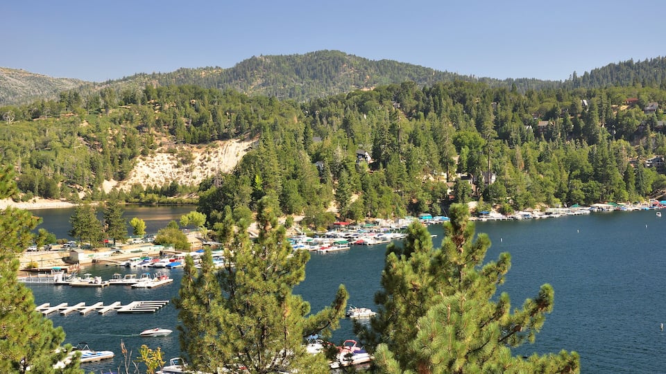 A lake surrounded by dense forests and hills, with boats docked along the shore and a small marina.