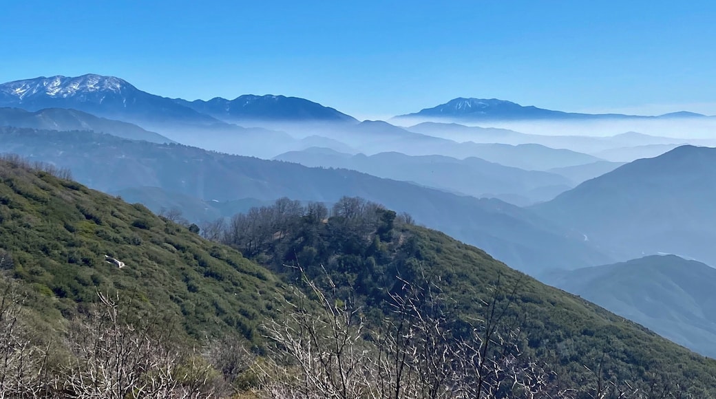 Gorgeous views from multiple spots along the way from Crestline to Lake Arrowhead