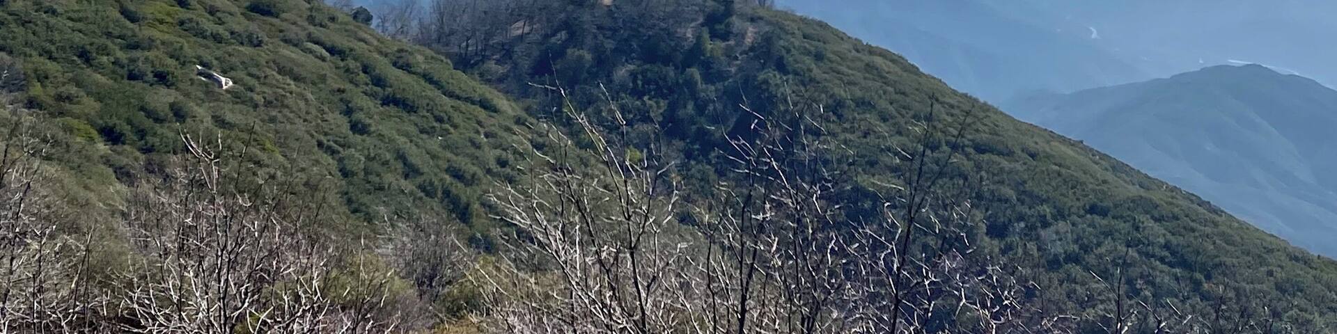 Gorgeous views from multiple spots along the way from Crestline to Lake Arrowhead