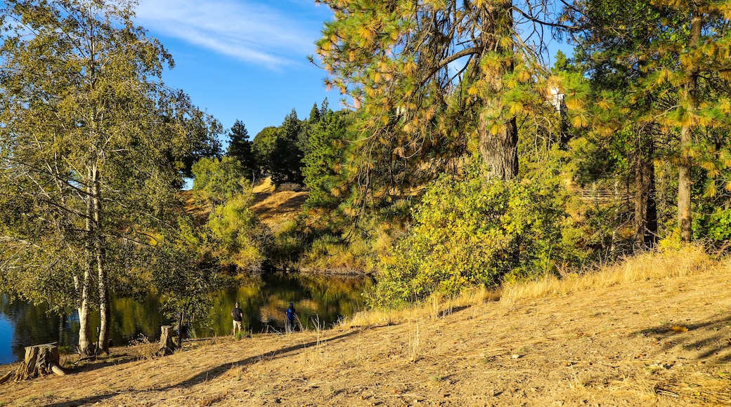 Lake Arrowhead