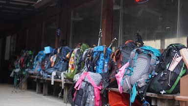 Mochilas alinhadas em frente a um prédio com a placa 'OPEN'.