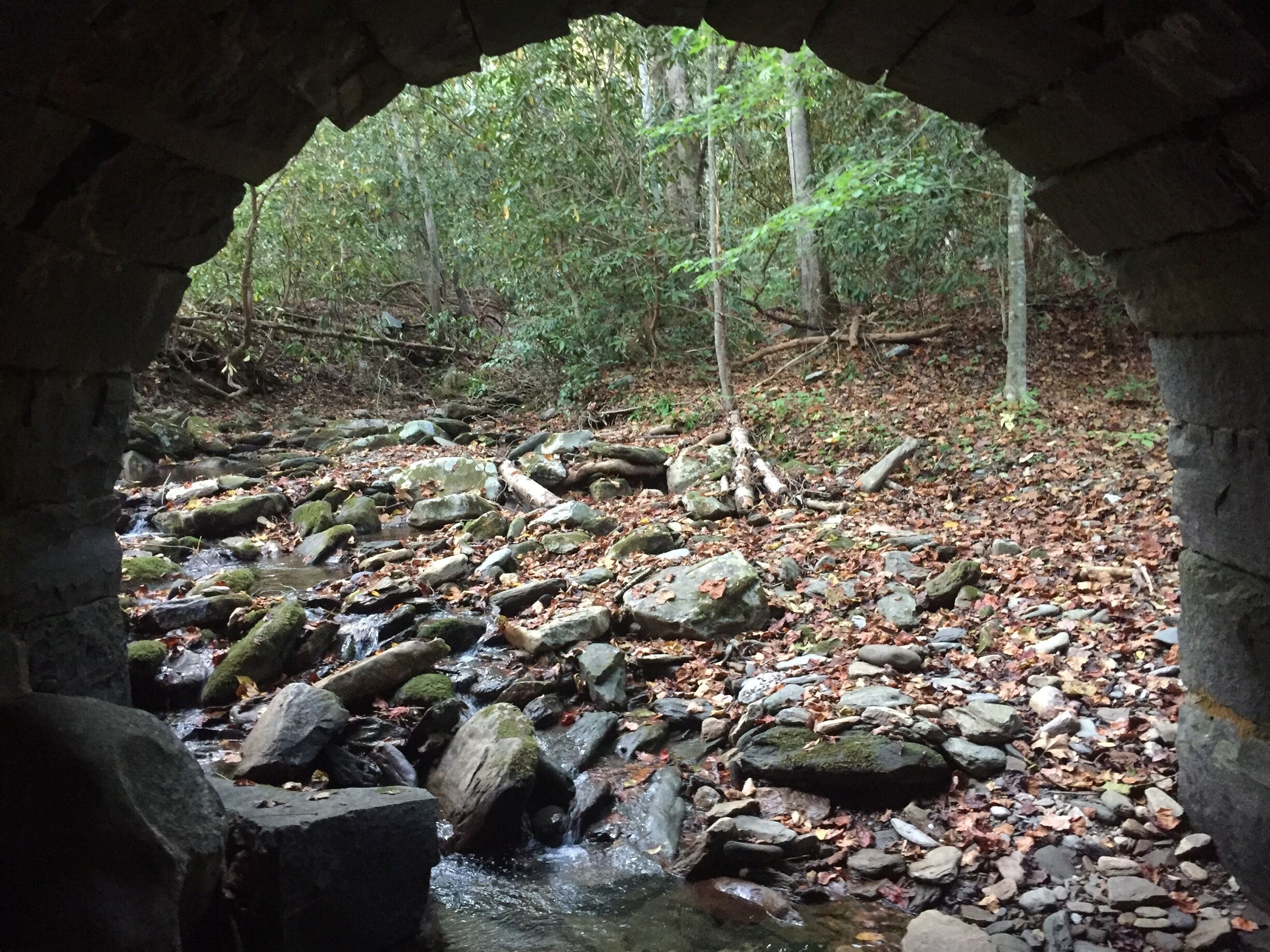 Exploration in Bryson City, NC. 