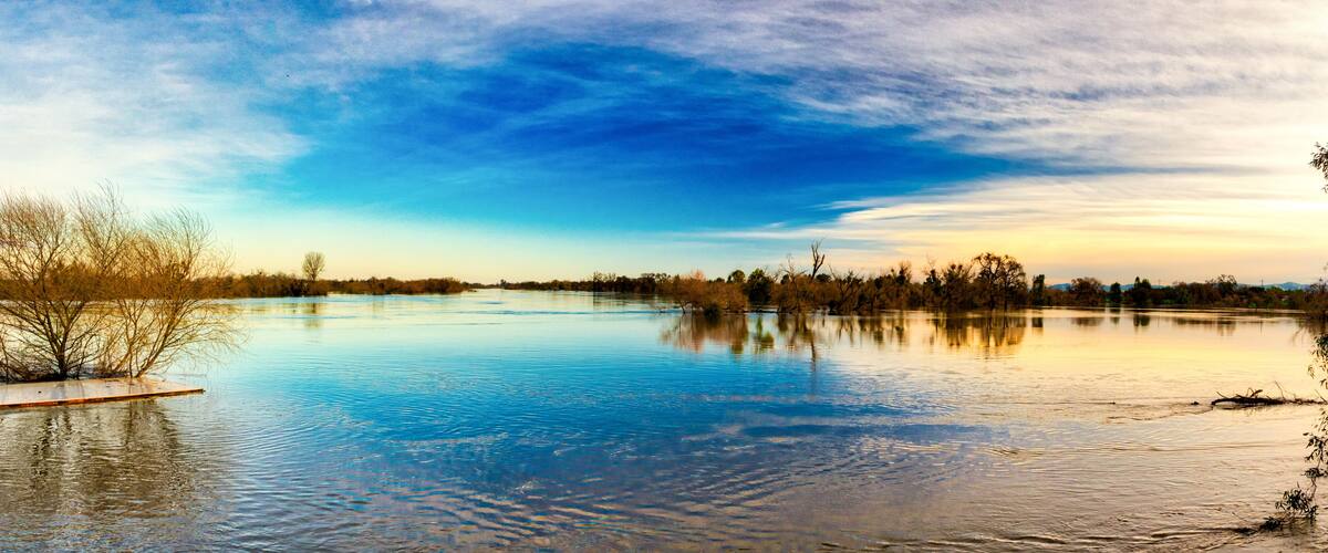 A calm river with a wooden dock, surrounded by trees and a clear sky.