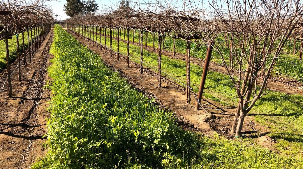 Wonderful tasting room!