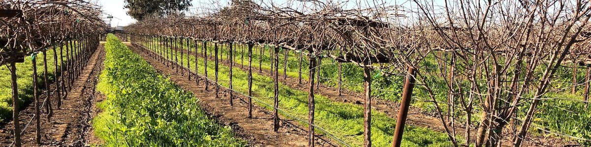 Wonderful tasting room!