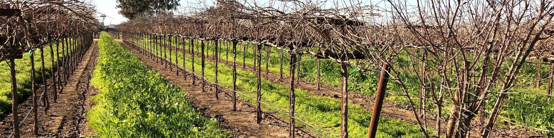 Wonderful tasting room!