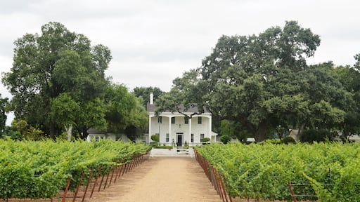 Winery in Lodi, California