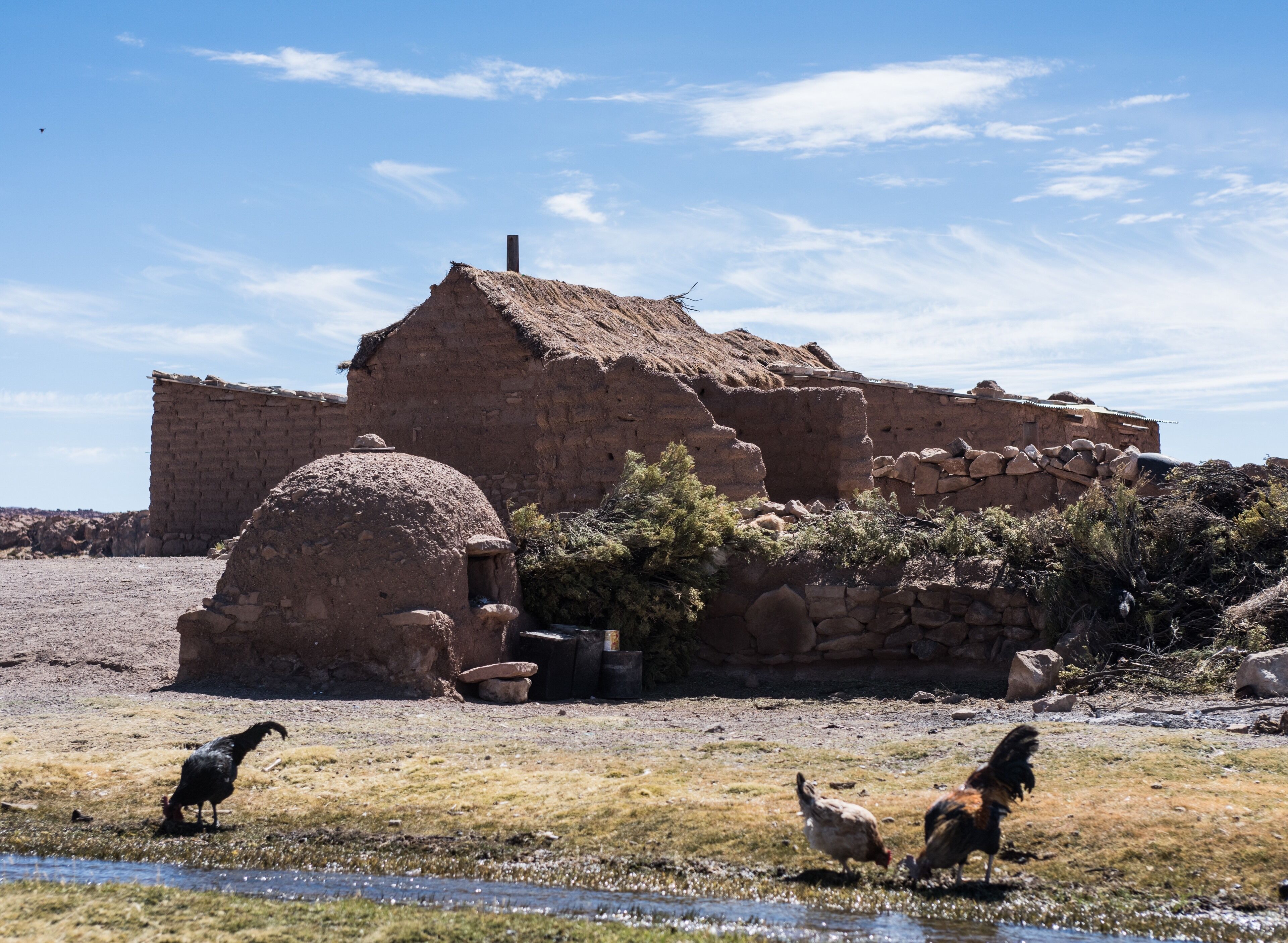 A pit stop at the Alota village, Valle de Rocas, Potosi, Bolivia #visitbolivia #Culture #culturetrips #villagescenes #remotebolivia #eduardodeavaroa #andes