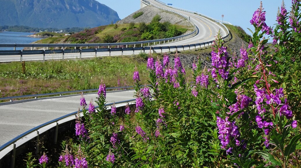 The Atlantic Road connects the island Averøy with the mainland via a series of small islands and islets, spanned by a total of eight bridges over 8274 meters. The road is a national tourist route.
Here, on Eldhusøya, you can take a walk on the suspended walkway around the islet. #OntheRoad