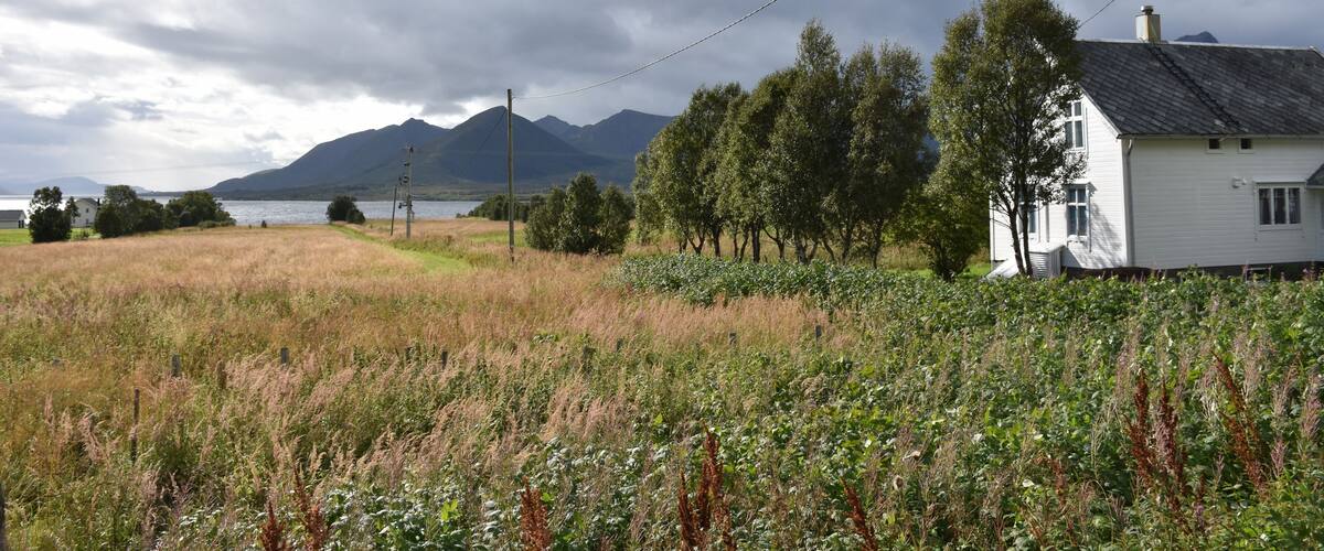 A rural landscape with a house, trees, and mountains in the background.