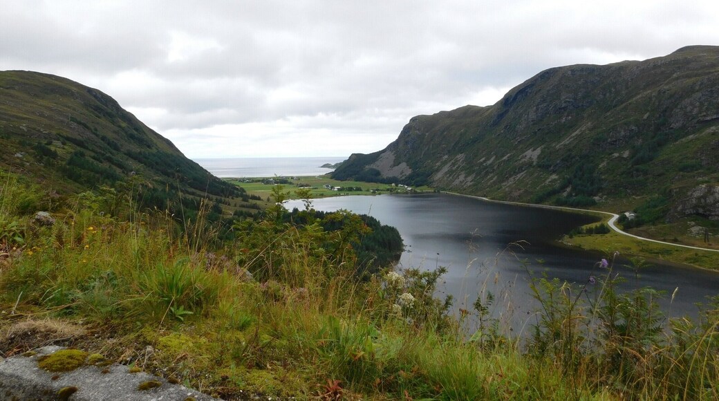 The most beautiful beach in Norway....Swimming at it in 50 degree Fahrenheit weather was definitely an experience of a lifetime!
#beach #norway #europe