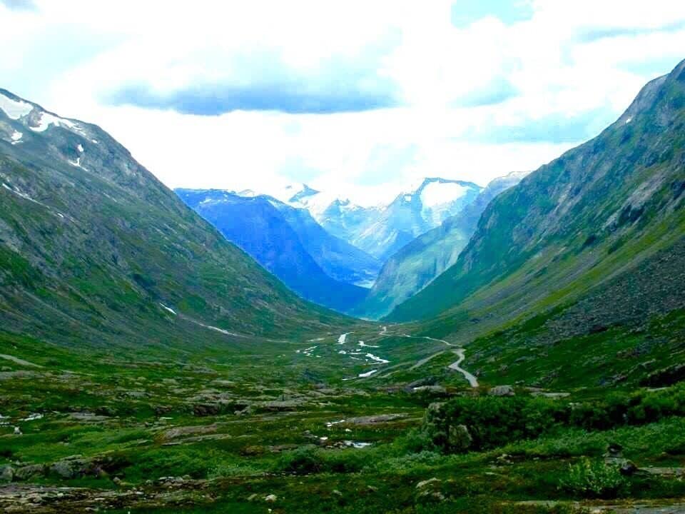 A green paradise that overwhelms you into nature.