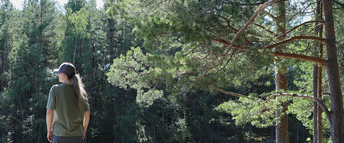 Woman enjoying the view by the lake. Woman hiking in forest near lake in Norway, Oslo, Østensjøvannet lake.