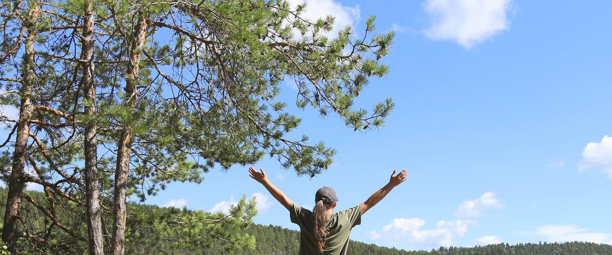A person standing by a lake with trees and a forest in the background.