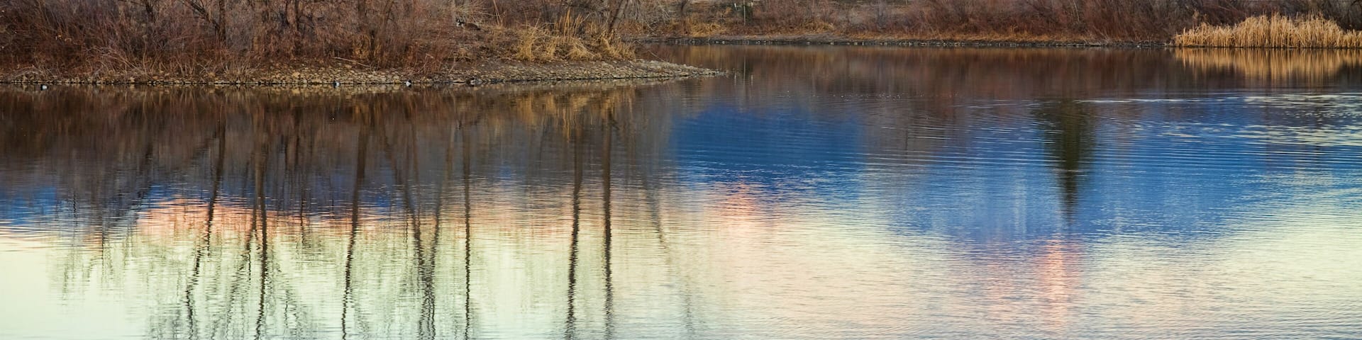 A sunrise view of Longs Peak at golden ponds in Longmont Colorado, Boulder County