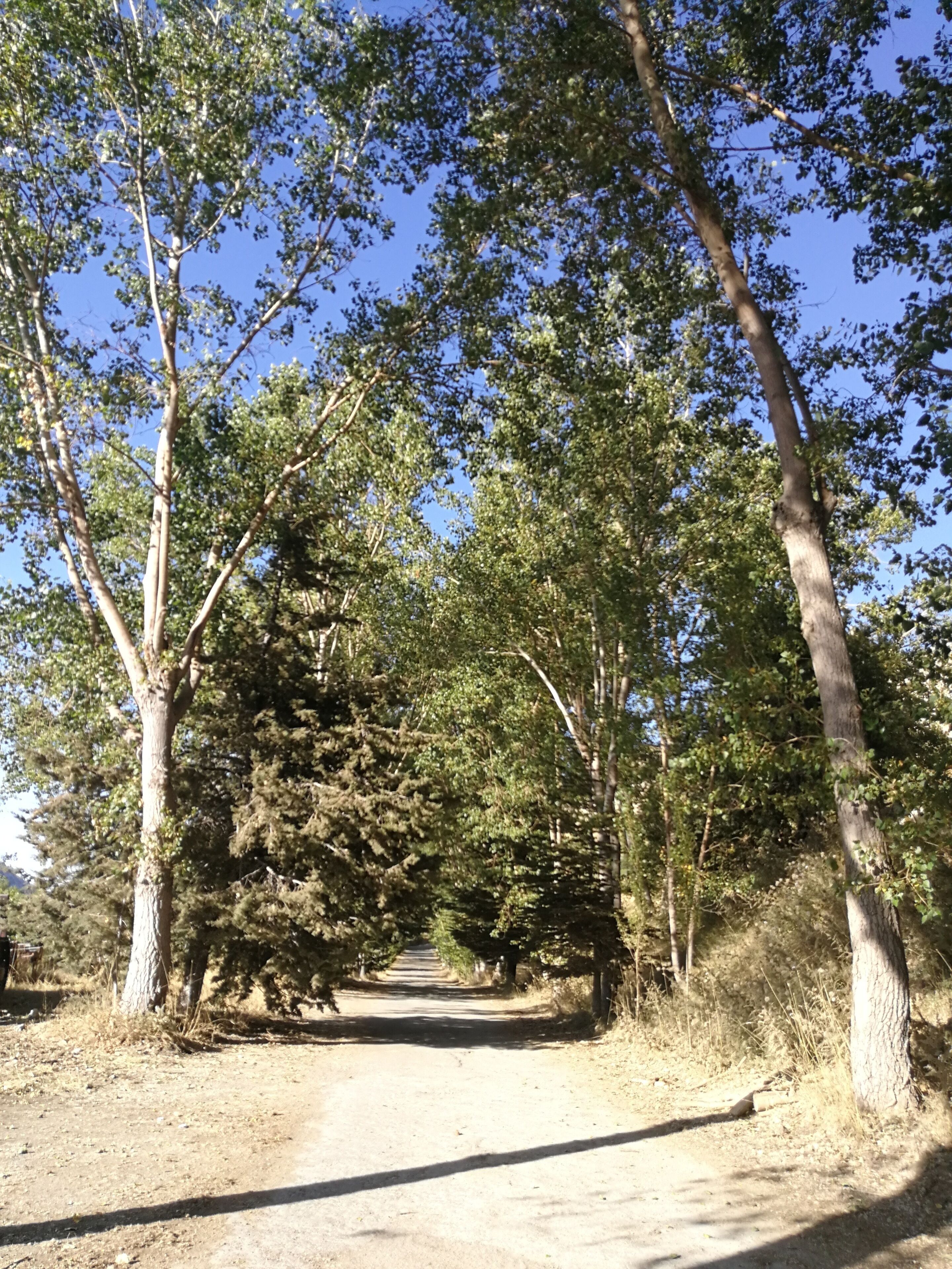 A full natural place, where you can organise a great vacation in all seasons, even you can organise your wedding ... A place that must be visited.