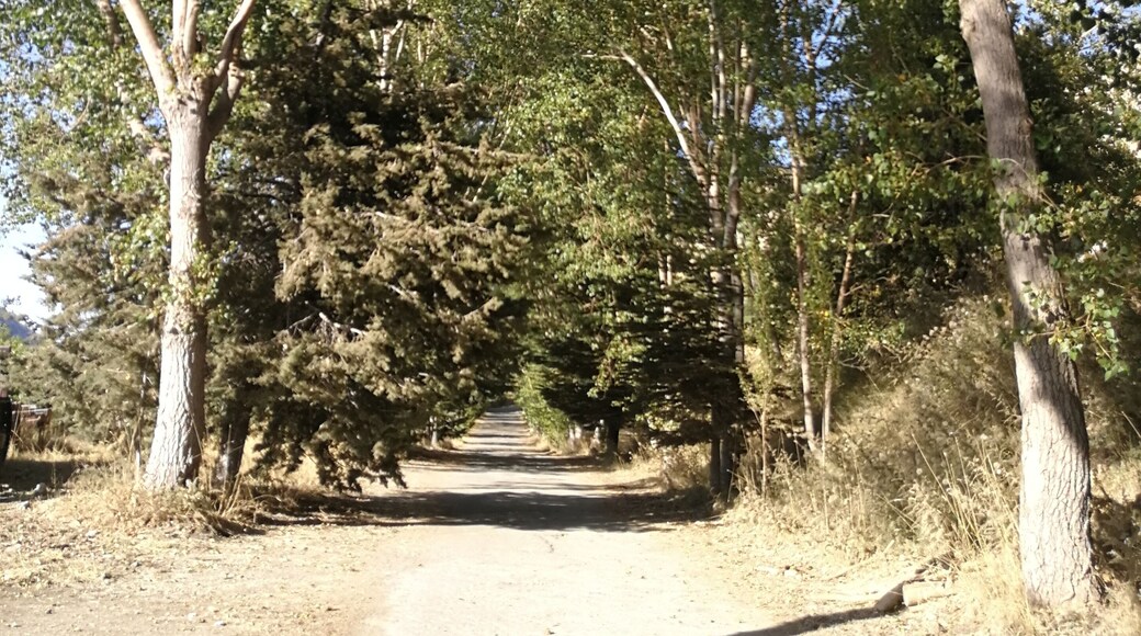 A full natural place, where you can organise a great vacation in all seasons, even you can organise your wedding ... A place that must be visited.