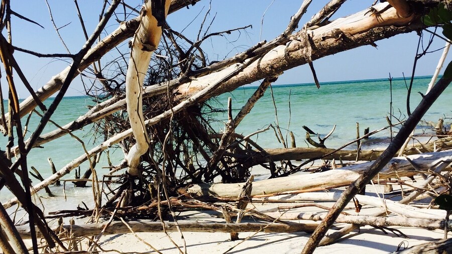 I love the weird and unusual. I actually had to climb through to get this shot.