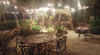 Mar Vista Dockside Restaurant and Pub is the most perfect dining atmosphere I've ever encountered.
Located on the Sarasota Bay on Longboat Key, you can dine just feet from the water under a canopy of live oaks entwined with subtle lighting.
The restaurant resides in a building built in 1912. Surviving a hurricane in 1921, makes it one of the twelve oldest surviving structures on Longboat Key.