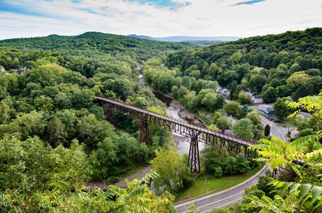 A steel bridge over a river in a forested valley with houses nearby.