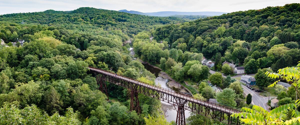 A steel bridge over a river in a forested valley with houses nearby.