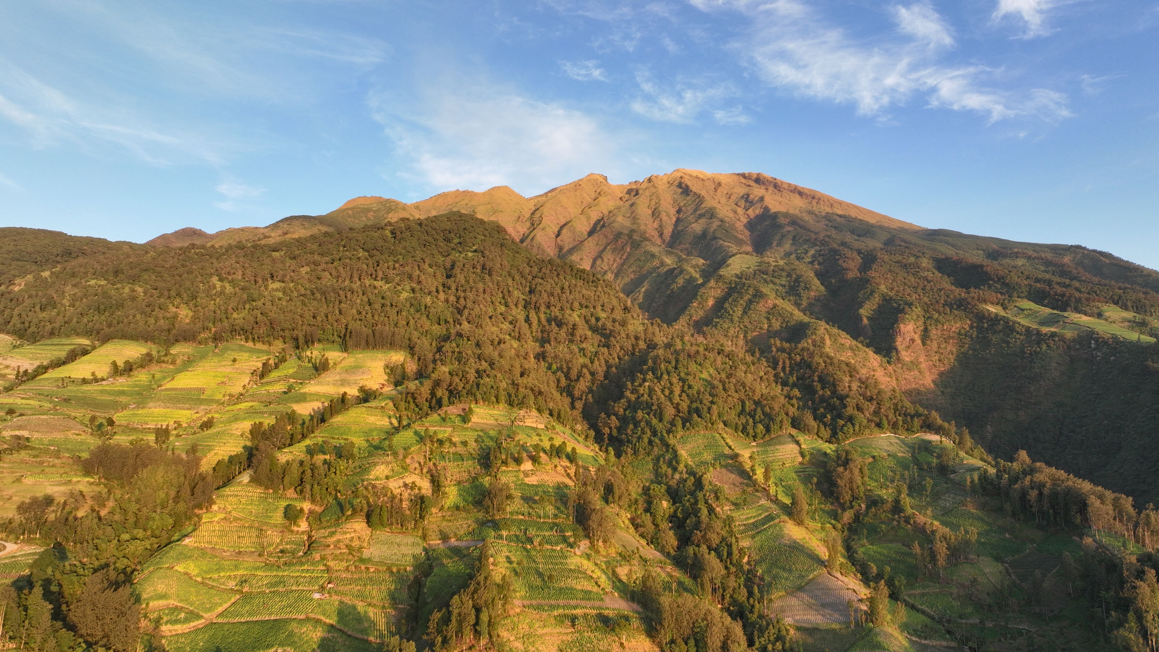 Eine gebirgige Landschaft mit terrassierten Feldern und dichten Wäldern.