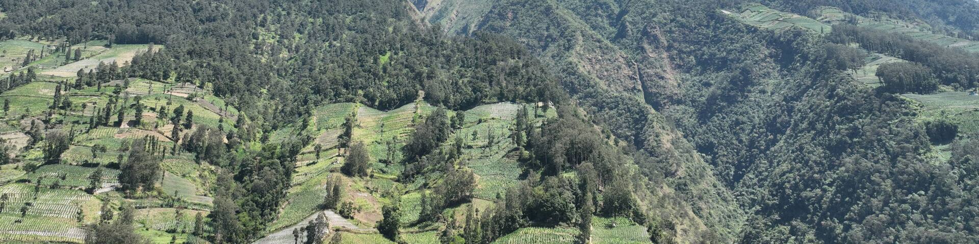 A mountain range with terraced fields.