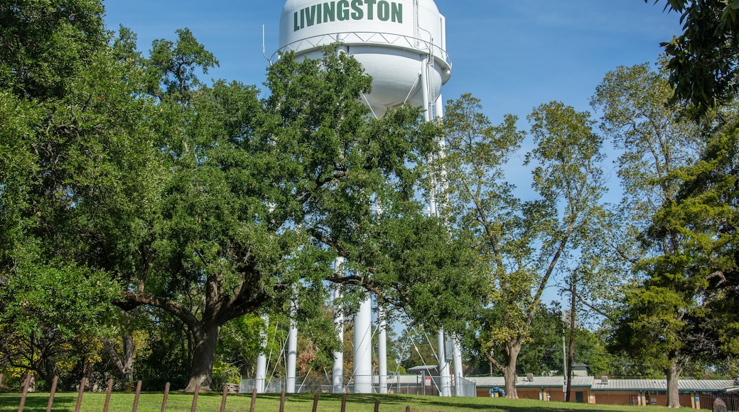 Livingston water tower seen behind the trees in Polk County, Texas, United States