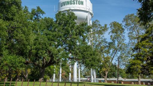 Livingston