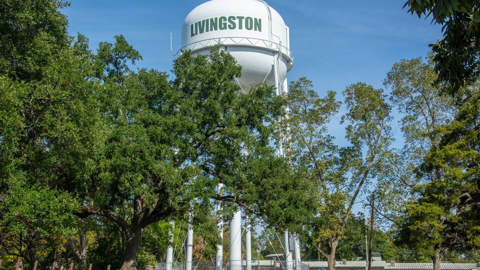 Livingston water tower seen behind the trees in Polk County, Texas, United States