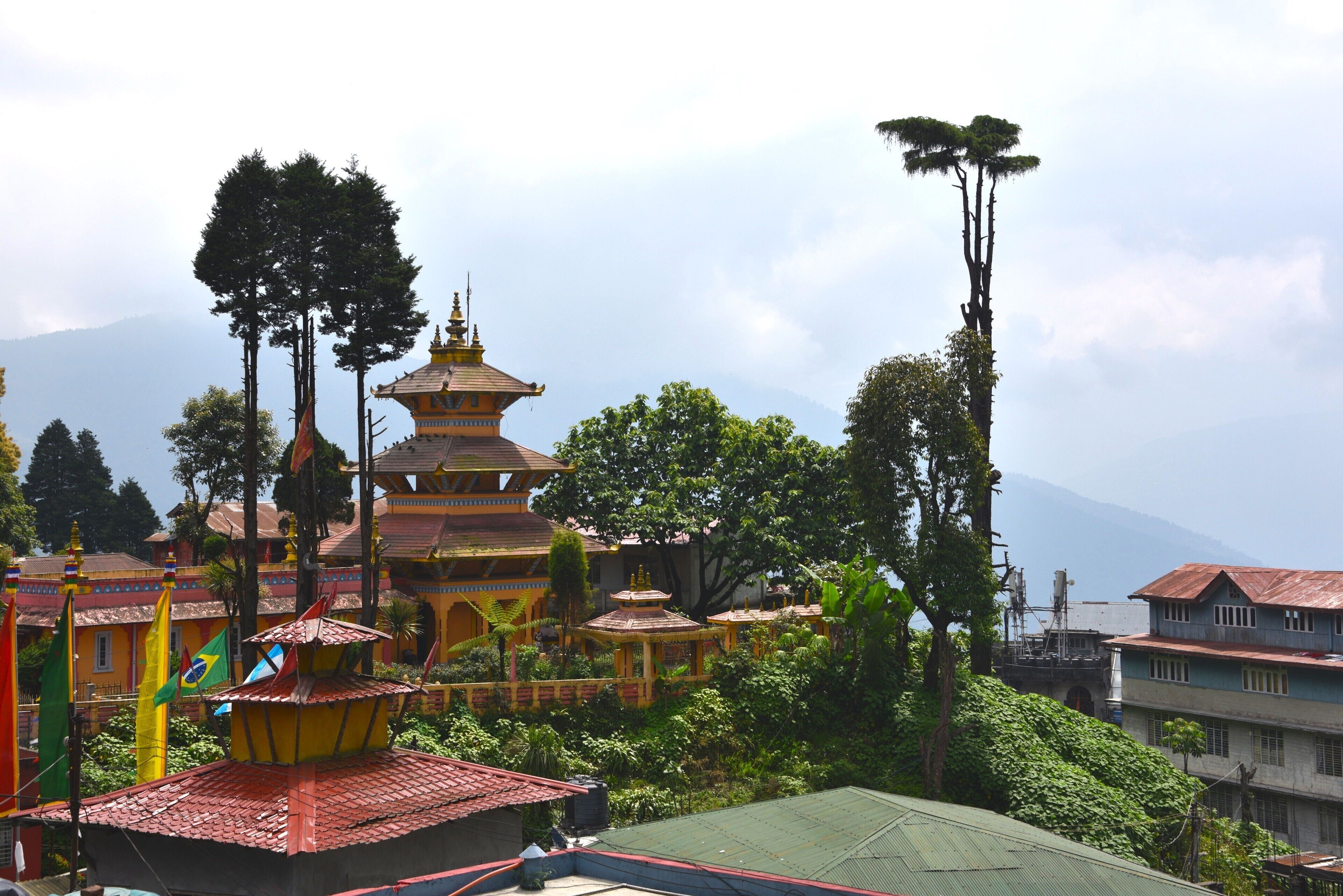 Beautiful Pagoda style Japanese Temple near to Darjeeling Rly Stn is a Landmark in the Town to visit.