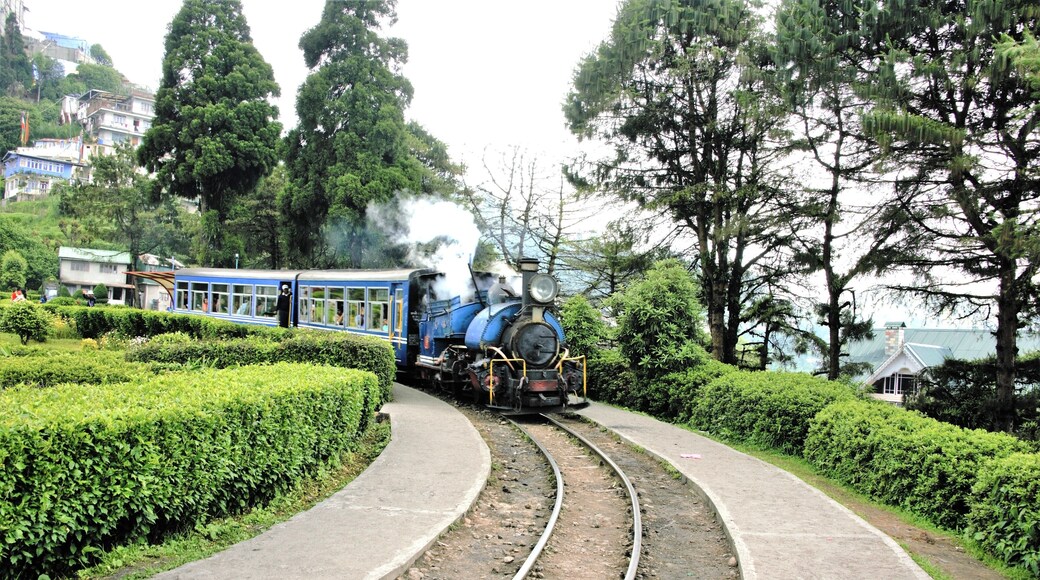 The Beautiful Darjeeling Himalayan Railway,an UNESCO Heritage Asset of India still having the same Importance for the Locals as well as the Tourists who visit the Hill Town of Darjeeling.