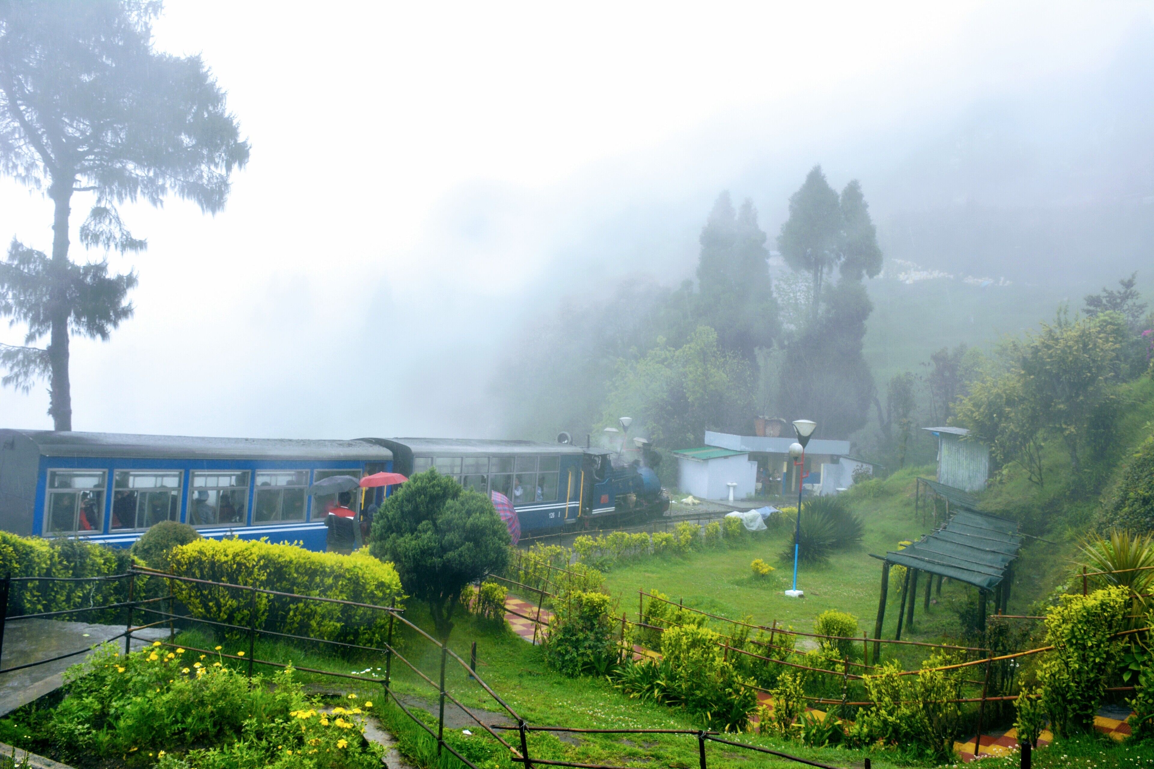 Darjeeling famous for its mist. In this picture you will find fog and Heritage Toy Train together 