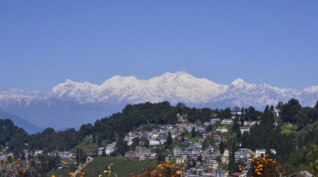 Panoramic view of Mount Kanchenjangha view from Darjeeling.
#AboveItAll