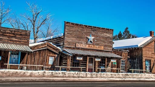 Since the late 1990s, Nevada City has become a tourist attraction for its collection of 19th century buildings within or surrounding the Nevada City Museum & Music Hall.
