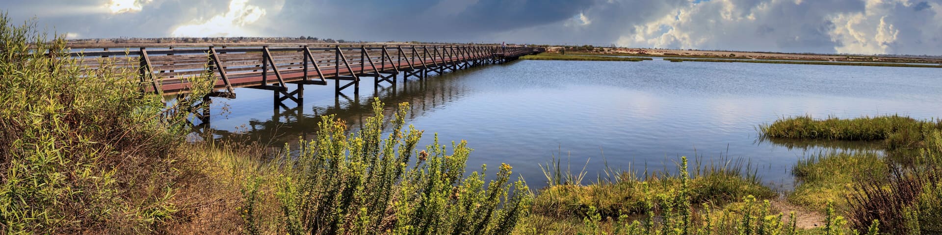 Bridge along the peaceful and tranquil marsh of Bolsa Chica wetlands