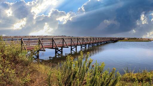 Bridge along the peaceful and tranquil marsh of Bolsa Chica wetlands