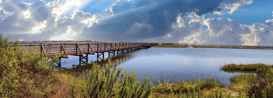 Bridge along the peaceful and tranquil marsh of Bolsa Chica wetlands