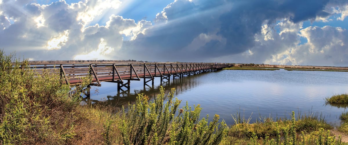 A wooden bridge over a calm body of water, surrounded by greenery and under a cloudy sky.